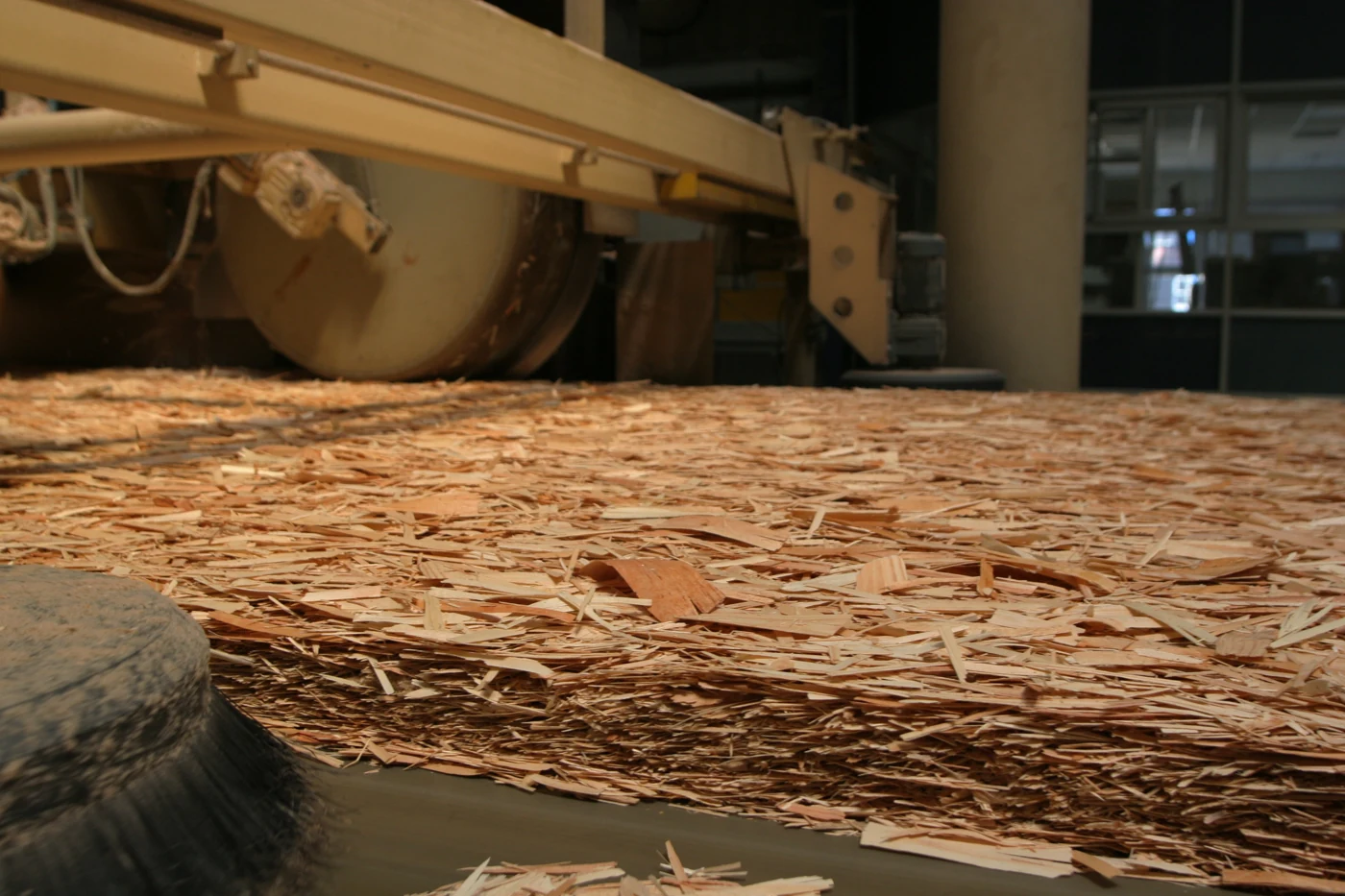 Fotografía referencial: manta de virutas de madera en la línea de fabricación de tableros OSB.